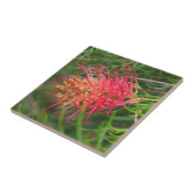 Create your own square tile - Grevillea