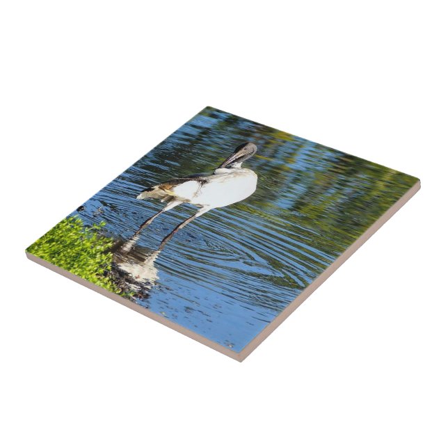 Create your own square tile - White Ibis (Side)