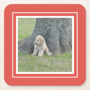 Create Your Own Your Photo Template Coral & White Square Paper Coaster