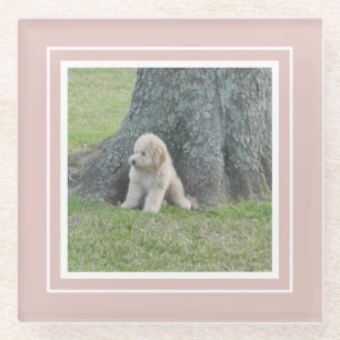 Create Your Own Your Photo Template Pink & White Glass Coaster