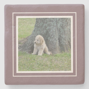 Create Your Own Your Photo Template Purple & White Stone Coaster