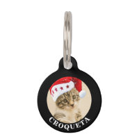 Create your owner's custom/editable template Cat-