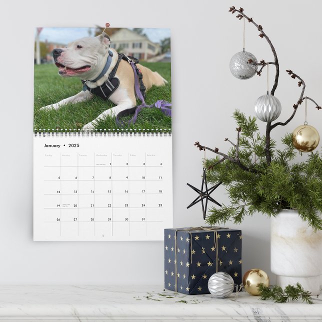Creating Dog Memories Personalised Calendar (Hello Pet Puppy Custom Calendar)