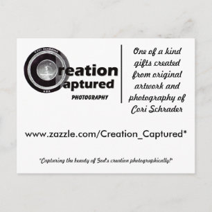 Creation Captured Photography Postcard