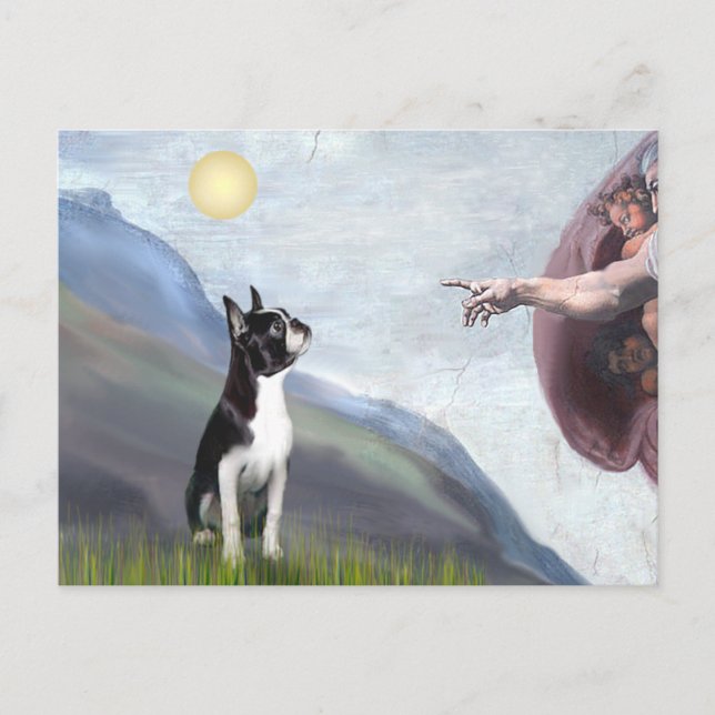 Creation of the Boston Terrier (#3) Postcard (Front)