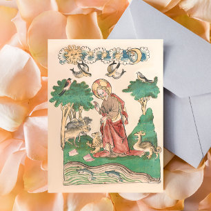 Creation of the World - Bible Mediaeval Manuscript Postcard