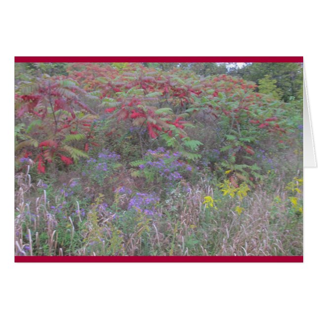 Creations Bounty (Front Horizontal)