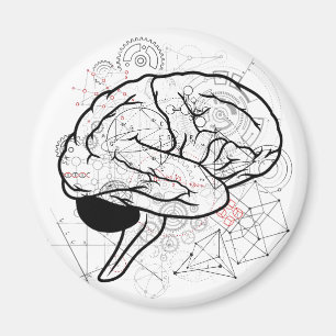 Creative Brain Artwork With Science Theme Magnet
