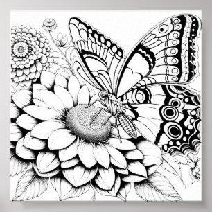 Creative Butterfly Colour Page Poster