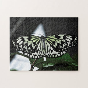 Creative pattern jigsaw puzzle