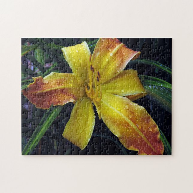 Creative pattern jigsaw puzzle (Horizontal)