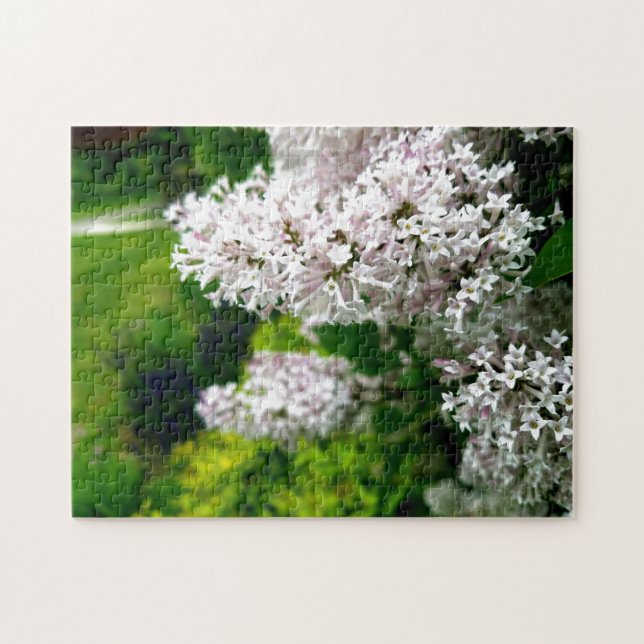 Creative wild flower walk photo jigsaw puzzle (Horizontal)