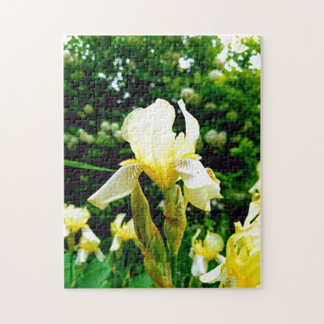 Creative wild flower walk photo jigsaw puzzle (Vertical)