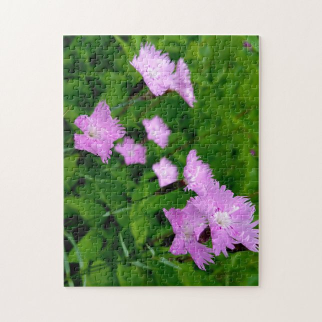 Creative wild flower walk photo jigsaw puzzle (Vertical)