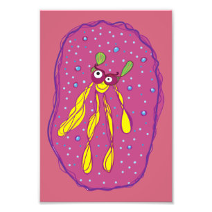 Creature dream Swimmer  Kodak Professional Photo