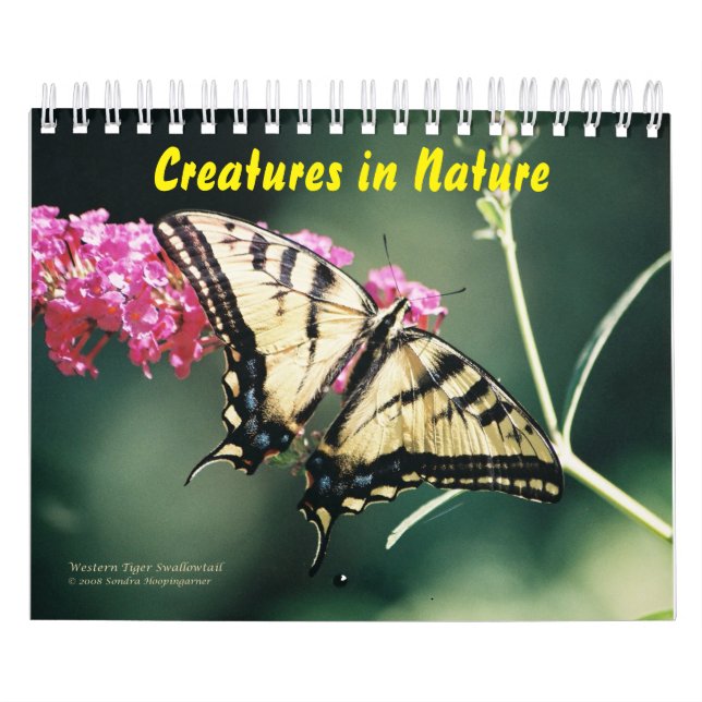 Creatures in Nature Calendar (Cover)