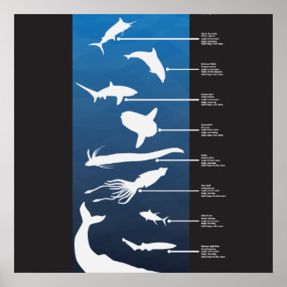 Creatures of the Open Ocean Poster