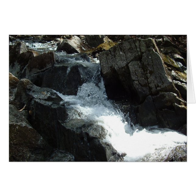 Creek 2 (Front Horizontal)