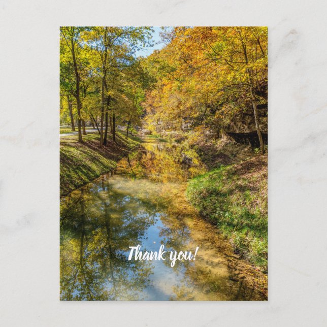 Creek Autumn Reflections Vertical Thank You Postcard (Front)