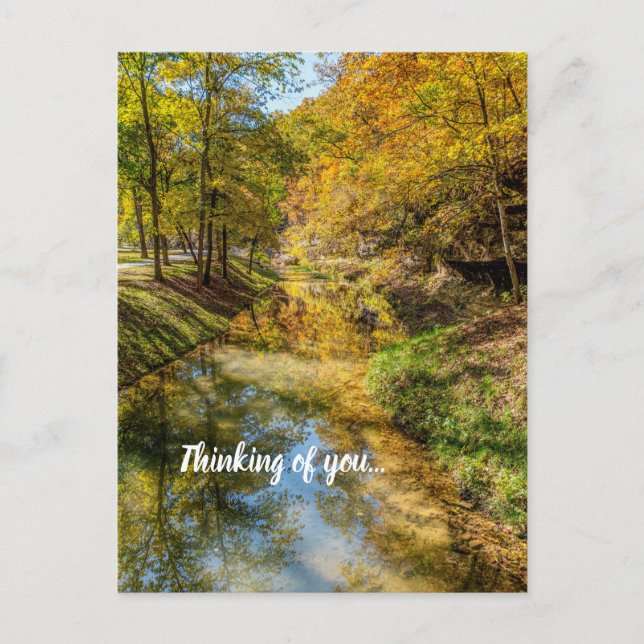 Creek Autumn Reflections Vertical Thinking Of You Postcard (Front)