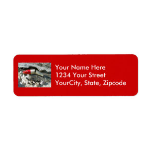 Creek Chub Pikie Redhead Jointed Lure Address