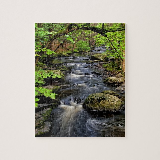 Creek flows through forest jigsaw puzzle (Vertical)