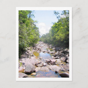 Creek in Venezuela Jungle Landscape Postcard