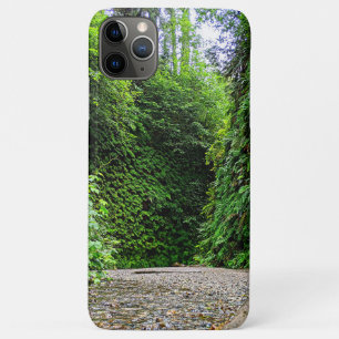 Creek Trail Winds Into Green Walls of Fern Canyon Case-Mate iPhone Case