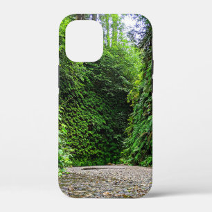 Creek Trail Winds Into Green Walls of Fern Canyon iPhone 12 Mini Case