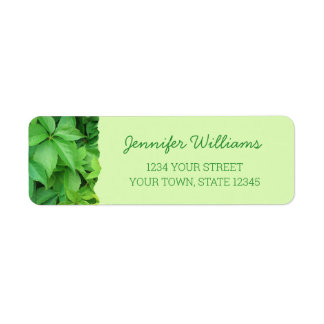 Creeper Plant Photo Pastel Green Return Address
