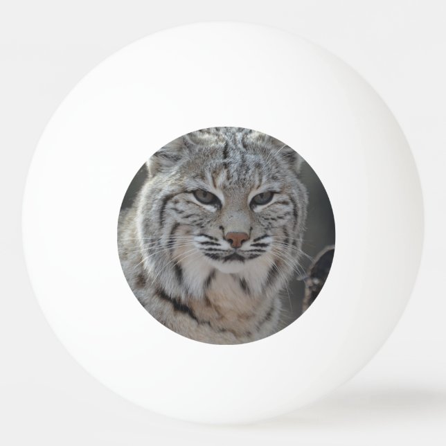 Creeping Bobcat Ping Pong Ball (Front)