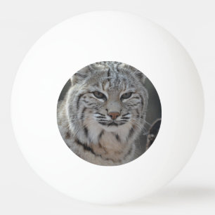 Creeping Bobcat Ping Pong Ball