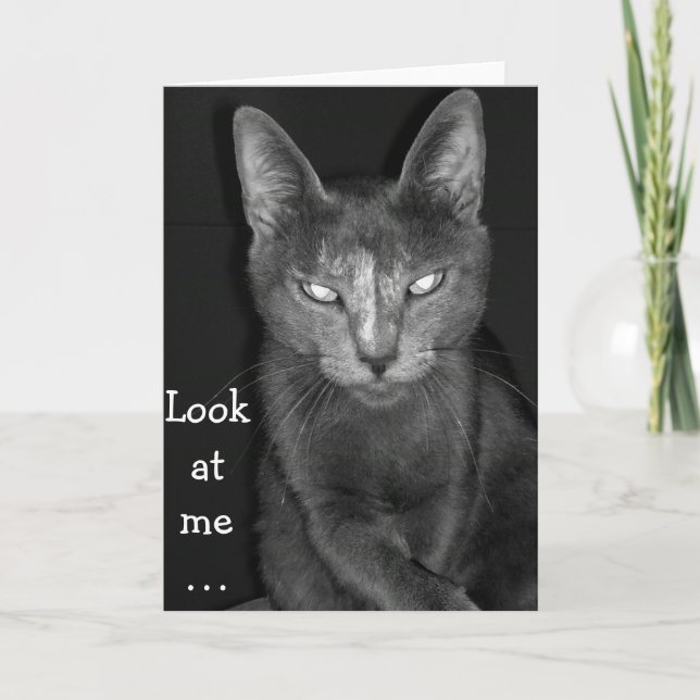 Creepy Cat - Birthday Card (Front)