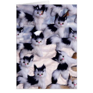 creepy cats
