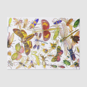 Creepy Crawlies Insect Tissue Paper   Biology