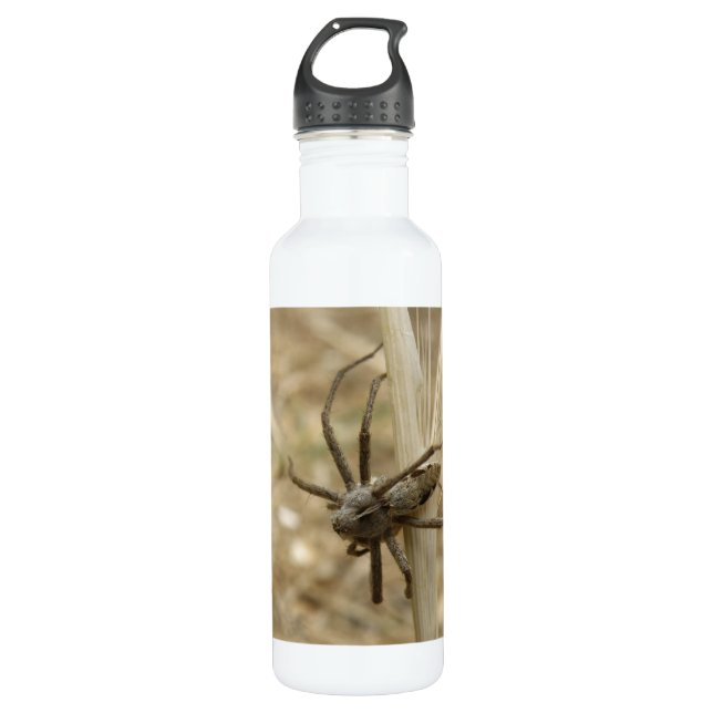 Creepy Crawly Spider 710 Ml Water Bottle (Front)