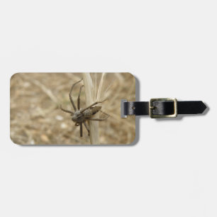 Creepy Crawly Spider Custom Luggage Tag