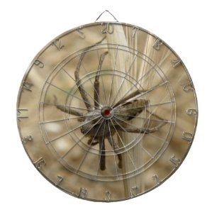 Creepy Crawly Spider Dart Board
