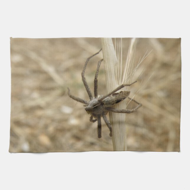 Creepy Crawly Spider Kitchen Towel (Horizontal)