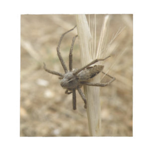 Creepy Crawly Spider Notepad