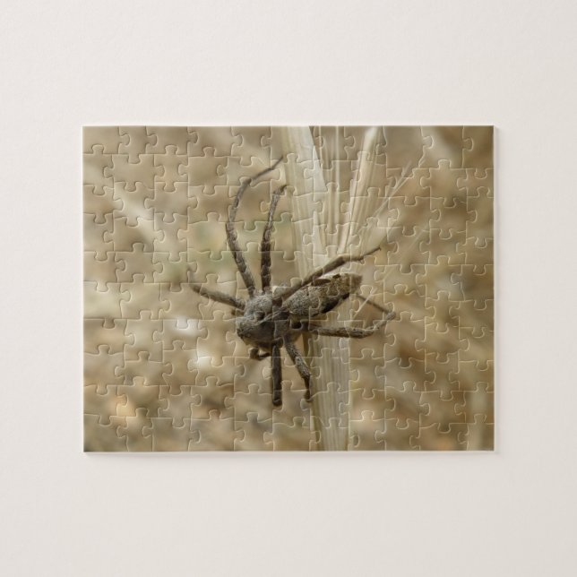 Creepy Crawly Spider Puzzle (Horizontal)