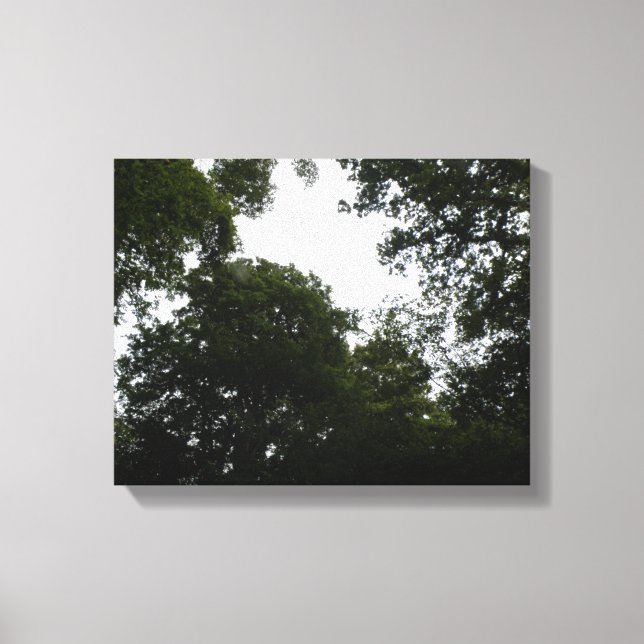 Creepy Forest Canvas Print (Front)