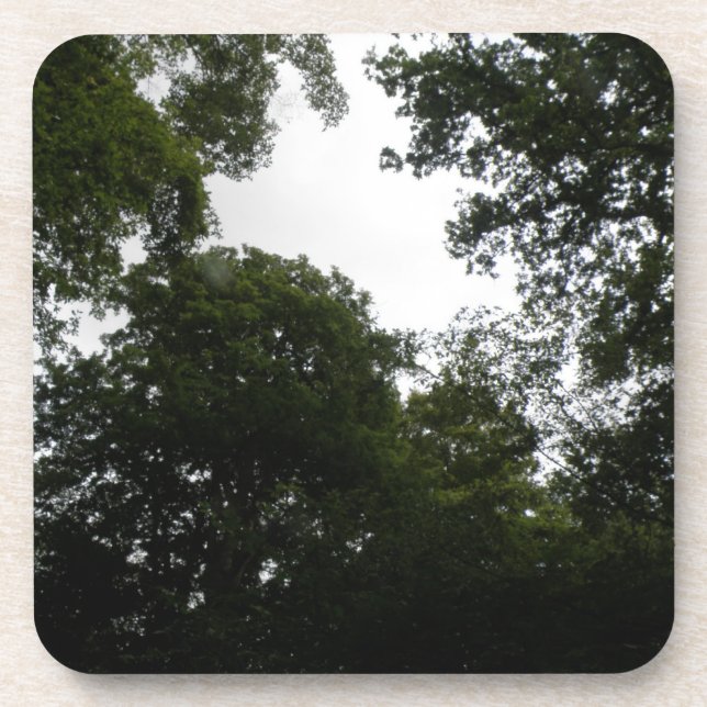 Creepy Forest Cork Coaster (Front)