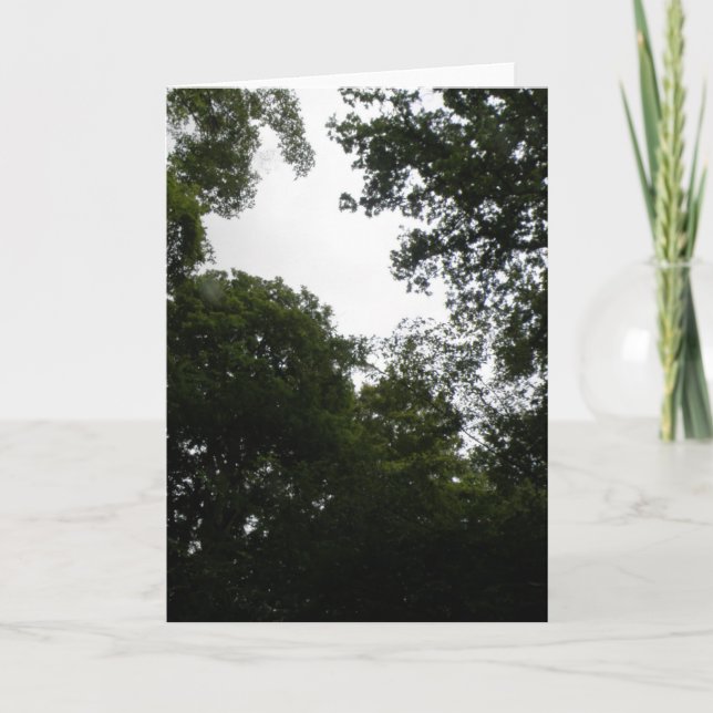 Creepy Forest Greeting Card (Front)