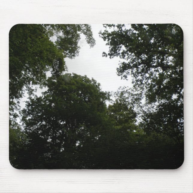 Creepy Forest Mousepad (Front)