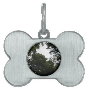 Creepy Forest Pet Tag