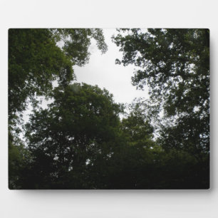 Creepy Forest Plaque
