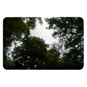 Creepy Forest Premium Magnet