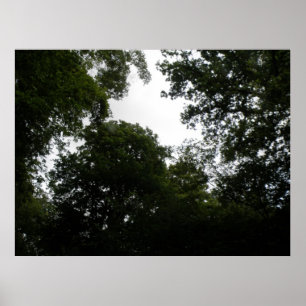 Creepy Forest Print