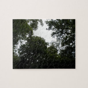 Creepy Forest Puzzle